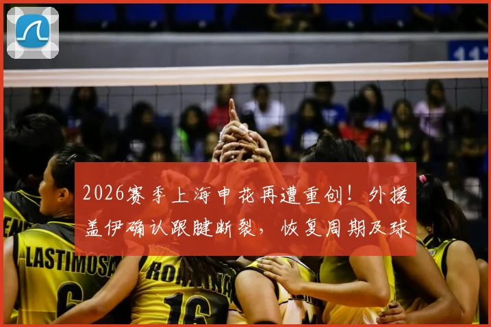 2026赛季上海申花再遭重创！外援盖伊确认跟腱断裂，恢复周期及球队影响分析